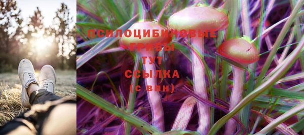 ешки Беломорск